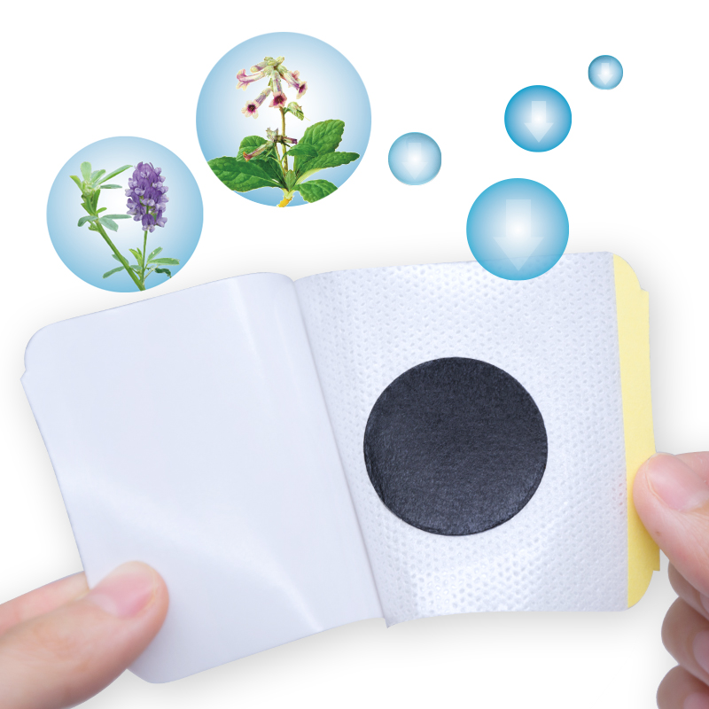 Sumifun 6 pz Controllo Patch p - Herbal Zone recensione e prezzo