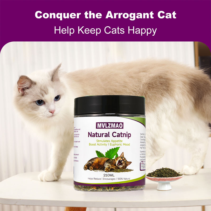 Giocattoli per gatti - Silverv - Nettle Leaf Tea recensione e prezzo