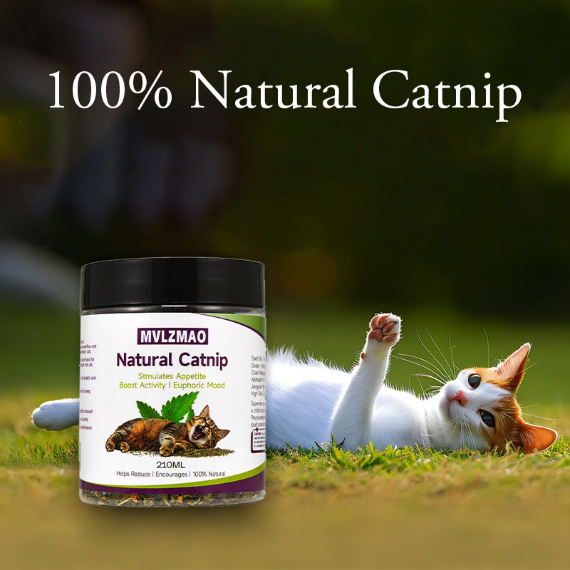 Giocattoli per gatti - Silverv - Nettle Leaf Tea recensione e prezzo